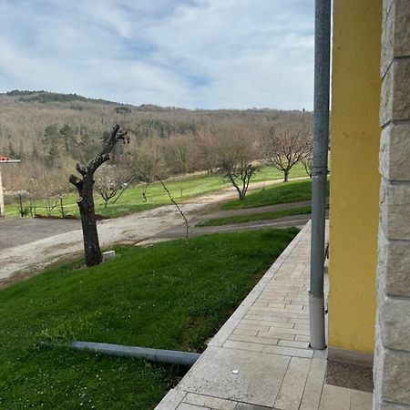 Apartmani Antonio Motovun Εξωτερικό φωτογραφία