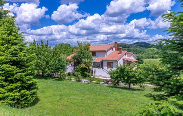 Apartmani Antonio Motovun Εξωτερικό φωτογραφία